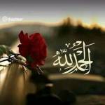 Nadiabutt Profile Picture