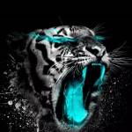 Levissure Profile Picture