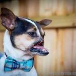 Joseph Profile Picture