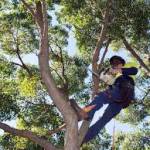 Kwis Kuya Profile Picture