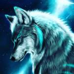 Earhweb Qite Profile Picture