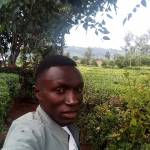 Polycarpkaiser Profile Picture