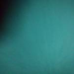 Tendani01 Profile Picture