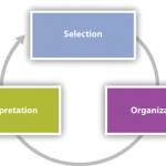 Stephen Kamau Profile Picture