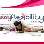 Easy Flexibility Profile Picture
