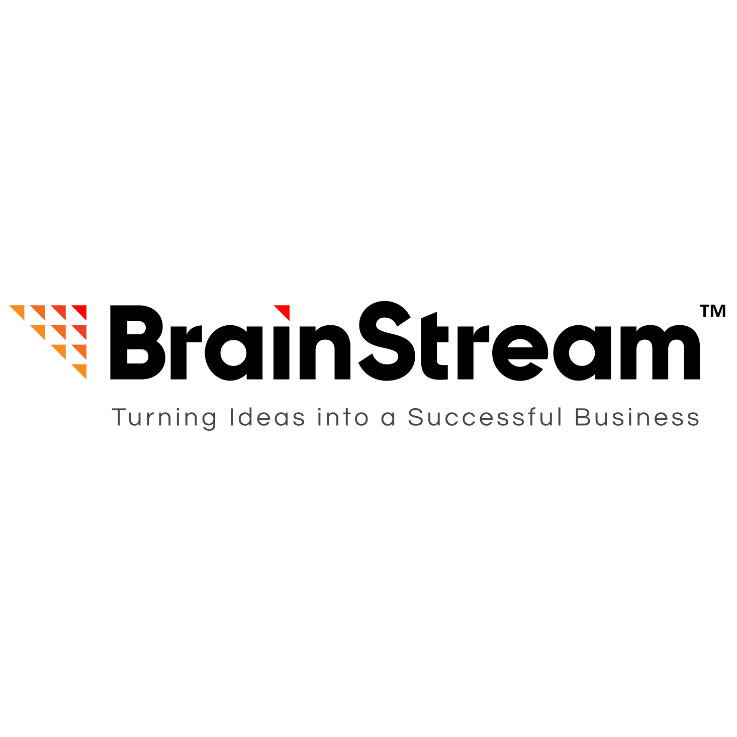 Software Development Company India - IT Firm | BrainStream Technolabs