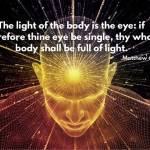 dominicFA Profile Picture