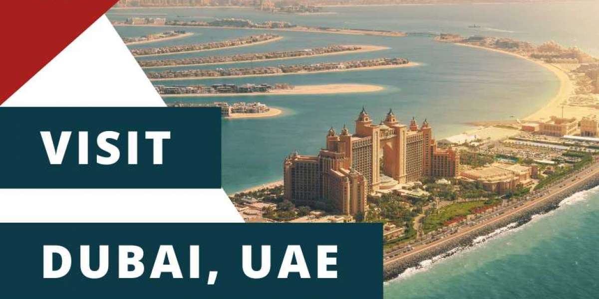 Complete guide to checking Dubai Visa through simple steps