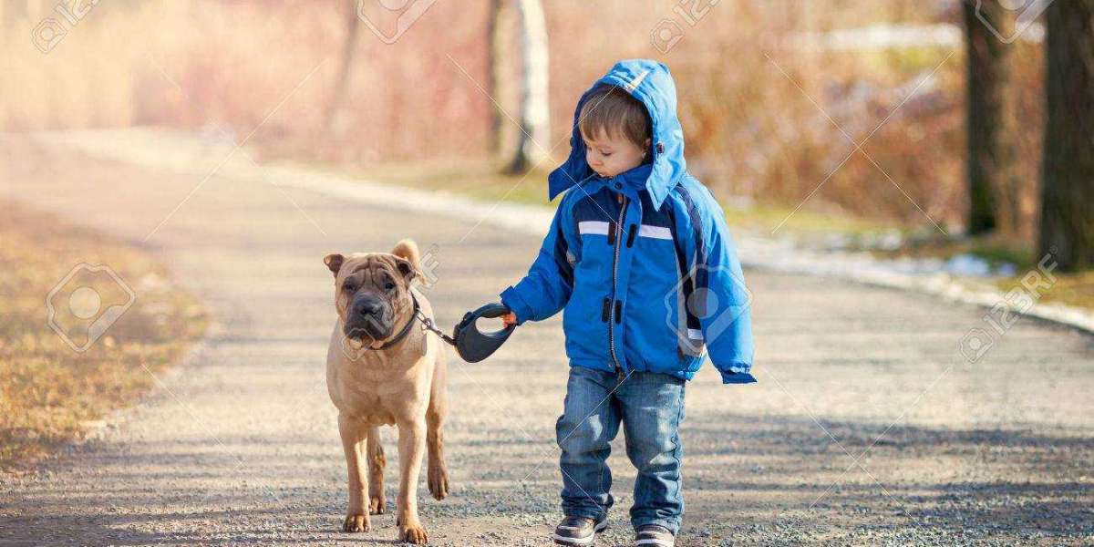 A POOR YOUNG BOY AND THE DOG