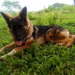 0784370730 Profile Picture