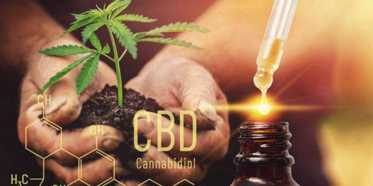 Facts About CBD Oil You Should Know