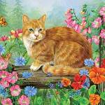 Issa Matil Profile Picture