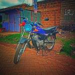 Vin mashasha Profile Picture