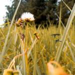 Boniface nzioka Profile Picture