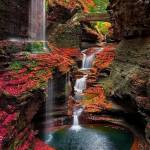 Steven Odhiambo Profile Picture