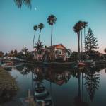 Mfanze Profile Picture