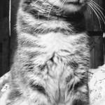 G2freshie254 Profile Picture