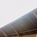 Justin Try Profile Picture