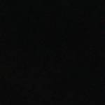 Melissa Nuna Profile Picture