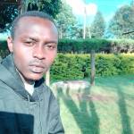 Alloysius Profile Picture