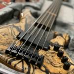 Tutindaga Monga Profile Picture