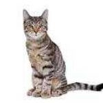 Darryl Munoz Profile Picture