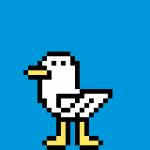 Nishi Profile Picture