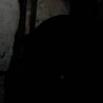 Mia Akisa Profile Picture