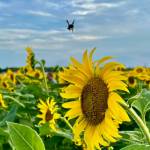 naheedo Profile Picture