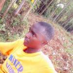 robin2456 Profile Picture