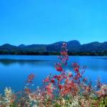 Vie Bandara Profile Picture