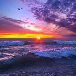 Amos Kiptui Profile Picture