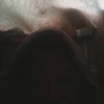 Kijangwa Profile Picture