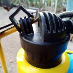 Lusake Jackson Profile Picture