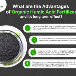 What are the Advantages of Organic Humic Acid Fertilizer and it’s long term effect?  | Visual.ly