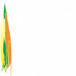 Ashford Tours Profile Picture