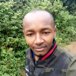 KEViz Profile Picture