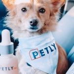 cbdfor dogs Profile Picture