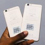 Elizabeth Adam Profile Picture