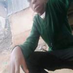 Alex Raphael Profile Picture