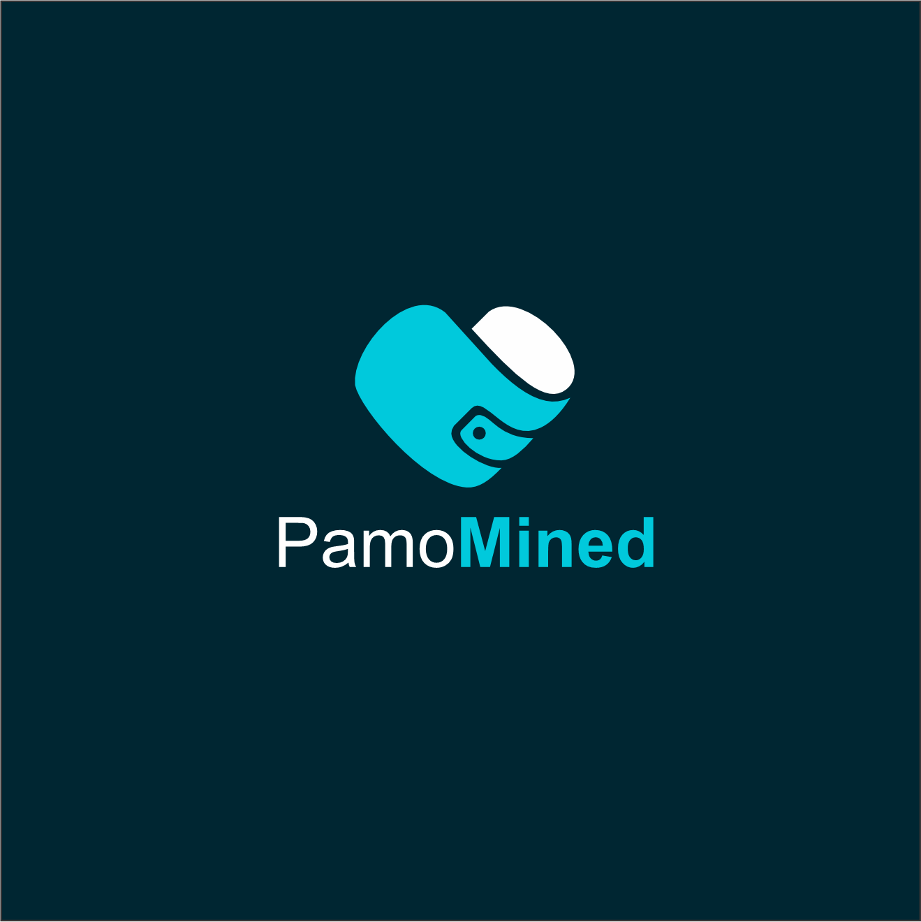 PamoMINED | Plataforma de mineria 100% virtual