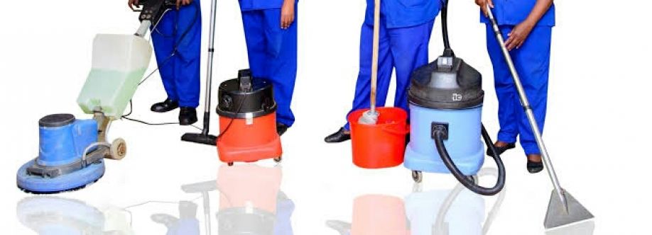 City Cleaners Cover Image