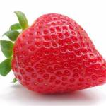 Panova Profile Picture