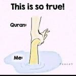 Noor Seytun Profile Picture