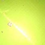 Dancan Mbugua Profile Picture