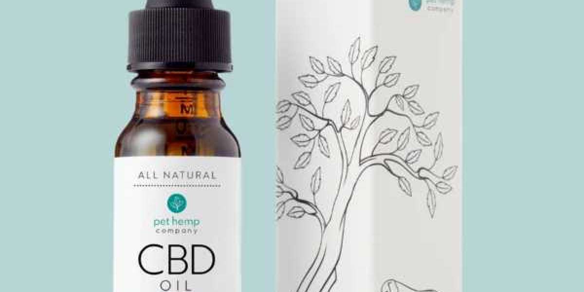 Check Out Information Best CBD Oil For Dogs