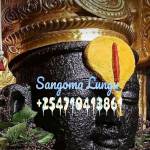 Traditional healer Sangoma Lungu Profile Picture