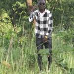 CLIFF BRAIN Profile Picture