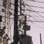 Edwin Kingston Profile Picture