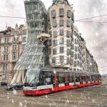 Edwin Maiyo Profile Picture